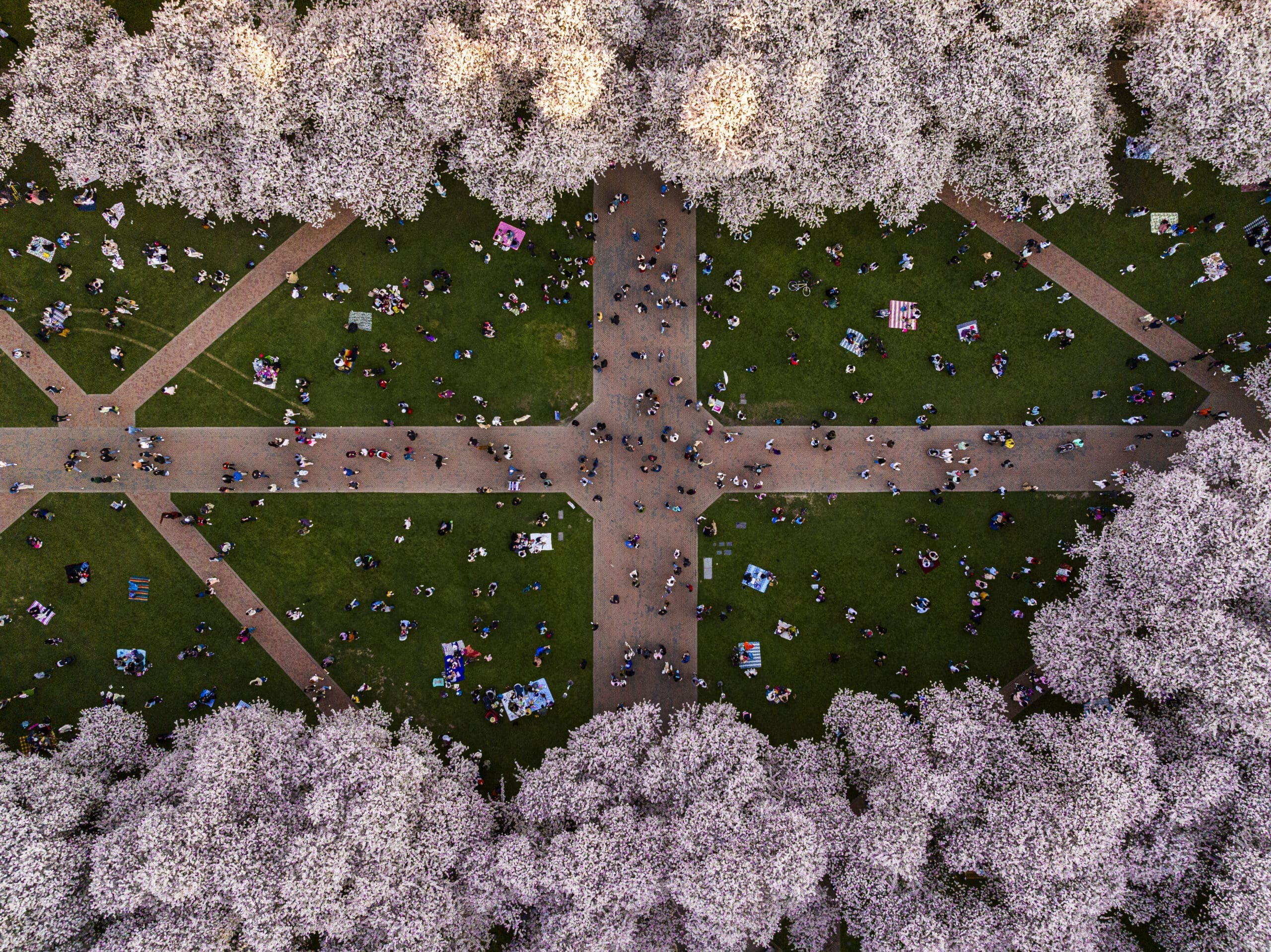 Arial photo of UW campus